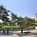 경희대학교 이미지