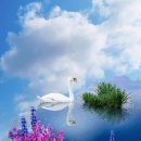 도리스테이 고대점 이미지