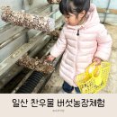 찬우물버섯농장 이미지
