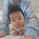 요이따 | 청주가는 버스를 탔다는 것은