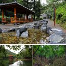 봉암수퍼 이미지