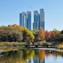 서울숲 수변휴게실 화장실 | 서울 단풍 명소 서울숲 주차 지도 11월 가을 데이트 코스 은행나무