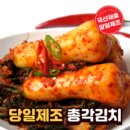 초록싱싱 100% 국내산 당일제조 알타리 총각김치, 1개, 1kg 이미지