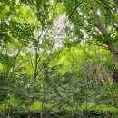 역사힐링길 이미지