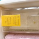 베스트롤 이미지