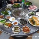 나주개미집 이미지
