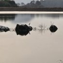 차동경로당 이미지