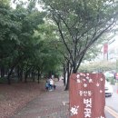 옥산어린이공원 이미지