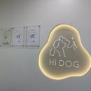 루원시티독 이미지