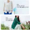 후라밍고 Daum카페