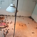 소매농장 이미지