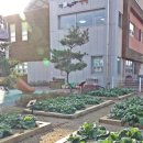 광주 양국진스피치 지정원(고창보듬이나눔이어린이집)