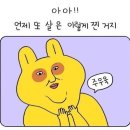 신정목장 이미지