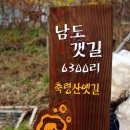 편백나무숲민박 이미지