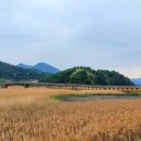 벌교생태공원 이미지