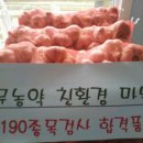 남해은멸치