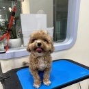 Mong's(몽'스) 이미지