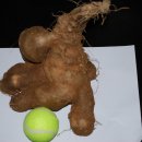 우리농장 이미지