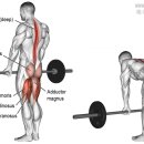 굿리프트 이미지