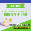 대명부동산중개 이미지