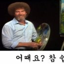 피부N(피부엔) 이미지