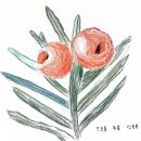성남매송초등학교 | 모두를 위한 학교 숲, 성남 매송초