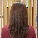 에이워터 | 모두의 헤어 LPP 샴푸 &amp; 논워시 워터밤 :: 사당미용실 에이바헤어 구매 후기