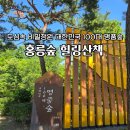 나라꽃 무궁화 명품길 | 홍릉숲 100대 명품숲 도심속 자연 우리나라 최초 수목원 주차 숲해설
