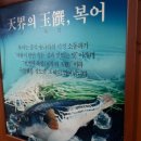 싱글벙글신평점 이미지