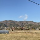 루몽드917 | 전남 장성 크리스마스 수목원 카페 루몽드917