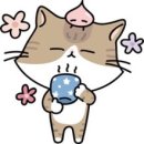 플로드 이미지