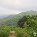 하동-하동-하동제1호 이미지