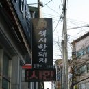 섹시한돼지 이미지