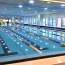 하비엘럭스 수영장 이미지