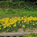 바람정원 이미지