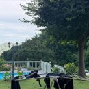 파란하늘펜션 | 양평 펜션 추천 [다브펜션] 내돈내산 찐만족 후기