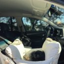 개편하개 이미지