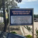 수변공원 정자옆 이미지