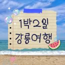 잉꼬다방 | 강릉 2박3일 계획하고 1박2일만 다녀온 사람의 여행기