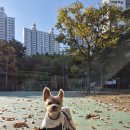죽전소공원 이미지