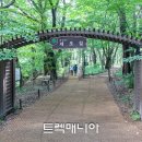 [출발-속리산] 하늘이 감춘 암자길(7/26 토요일) 이미지