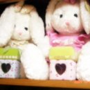 탑 웰빙하우스 이미지