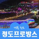 프로방스 | 아이와 청도 프로방스 빛 축제 후기 눈 내리는 산타마을 애견 동반 가능