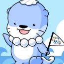 하모하모여행사