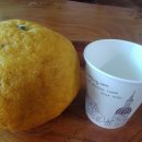 하귤과보리 이미지