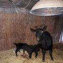 산마루농장 이미지