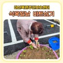 식목일 프로그램 추천 어르신들과 함께한 비트심기 후기 마산목련주간보호센터