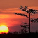 (주)신비포유 이미지