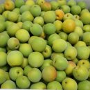 우진농장 이미지