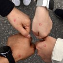 용현여중 앞 이미지